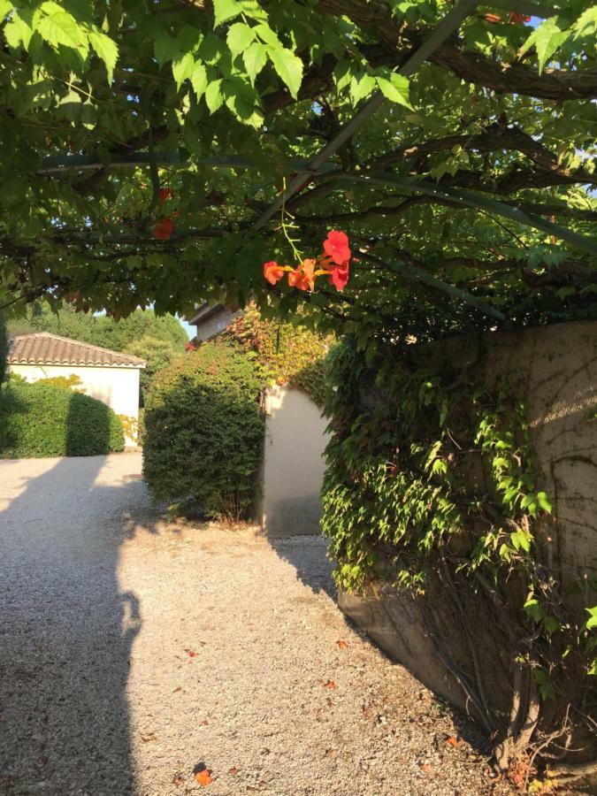 Saint-Rémy-de-Provence Le Mazet De Lola 빌라 외부 사진